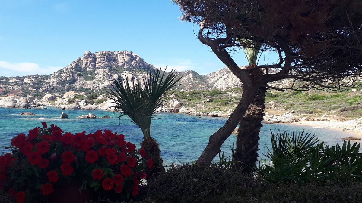 La Maddalena Apartment | Nice apartment a few steps from Punta Tegge
