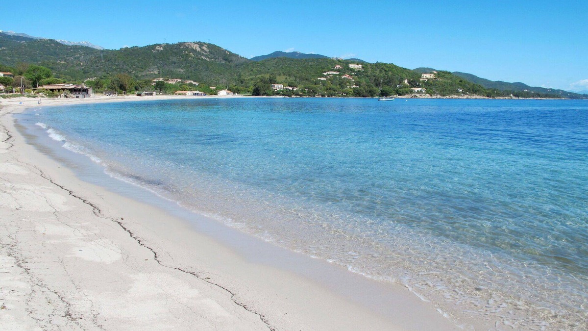 Favone Apartment | Nice apartment for 6 people with pool, A/C, WIFI, TV, terrace and pets allowed