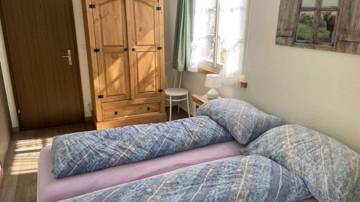 Ruedisbach Apartment | Nice apartment for 4 people with WIFI, TV, balcony and pets allowed