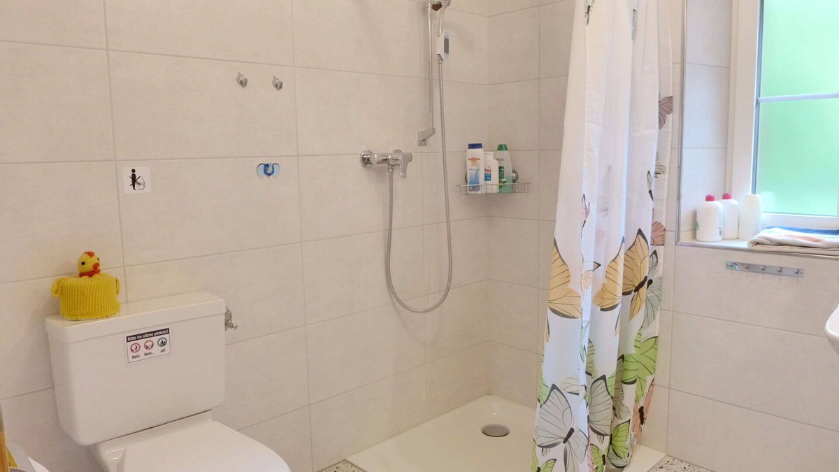 Brienzwiler Apartment | Nice apartment for 5 people with WIFI, TV, terrace, pets allowed and panoramic view