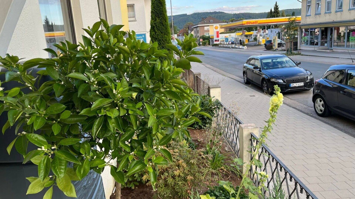 Bad Pyrmont Apartment | Nice apartment for 2 guests with WIFI and TV