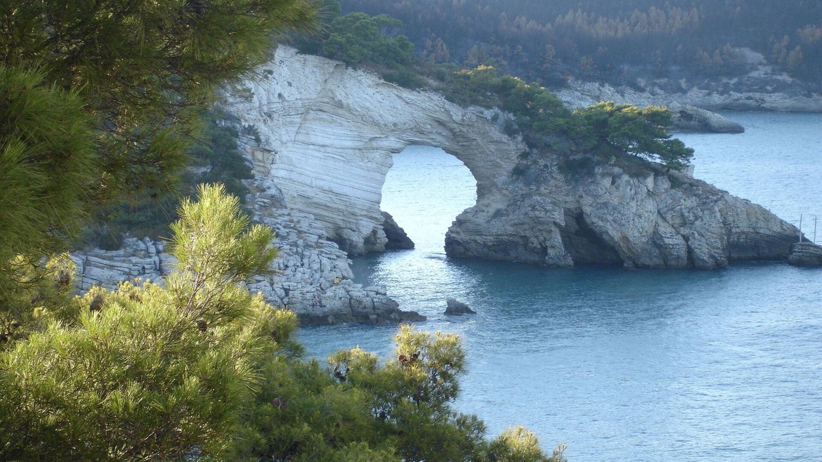 Chiesiola Cottage | Nice apartment with AC, in beautiful national park