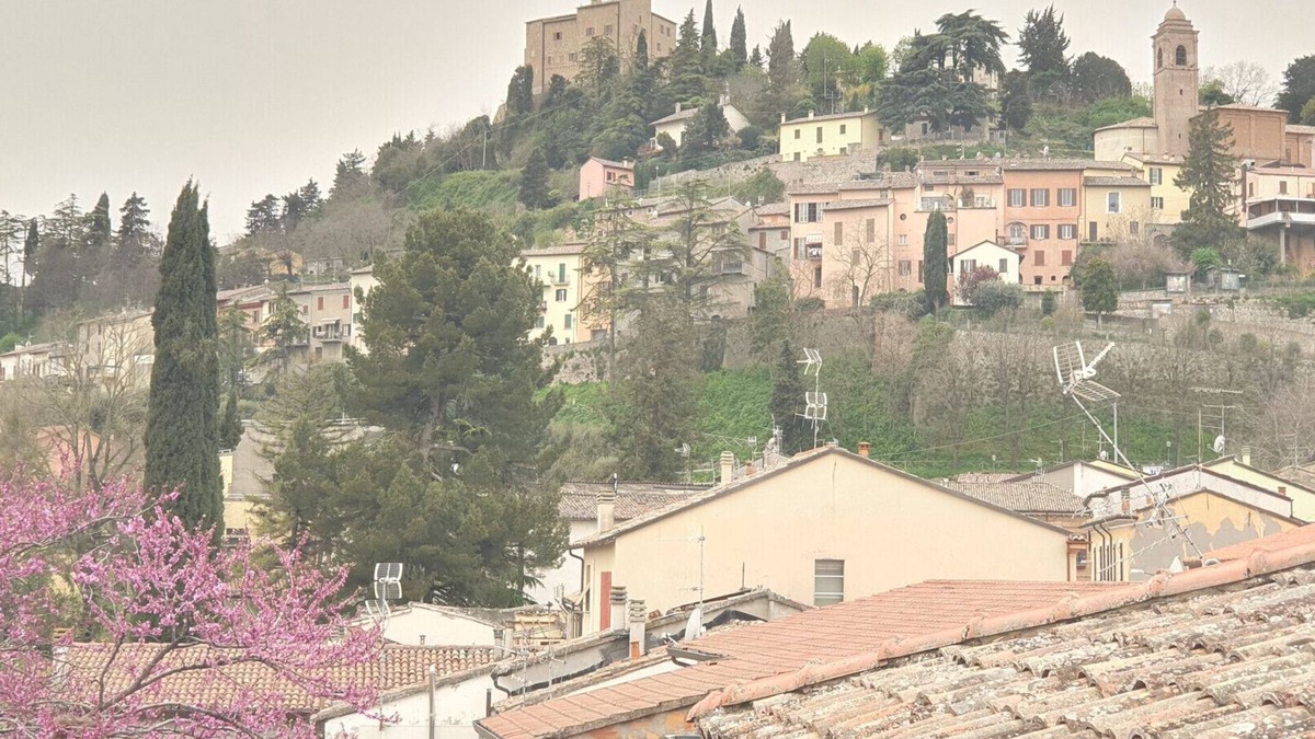 Bertinoro Apartment | Nice apartment with independent entrance at the foot of Bertinoro