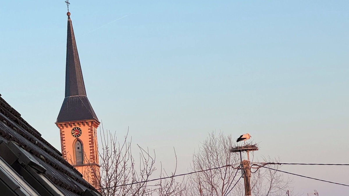 Leutenheim House | Nice gite near Baden-Baden and Strasbourg