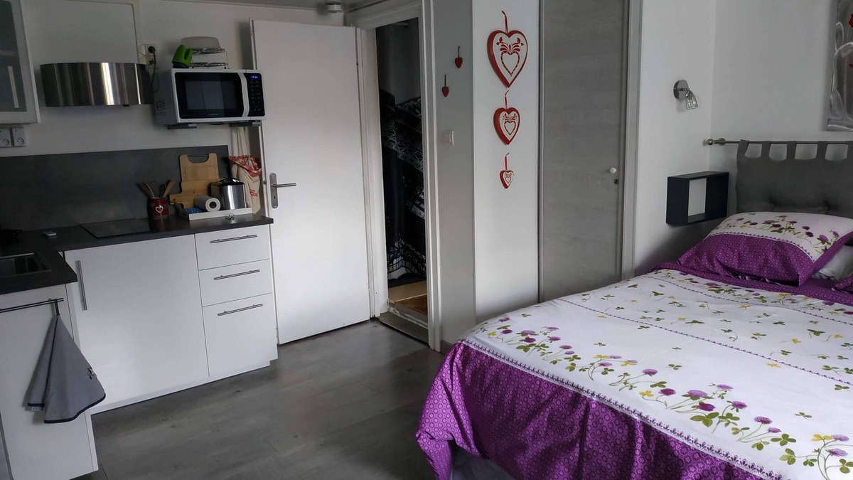Breuschwickersheim Cottage | Nice new studio near Strasbourg Label 2 *