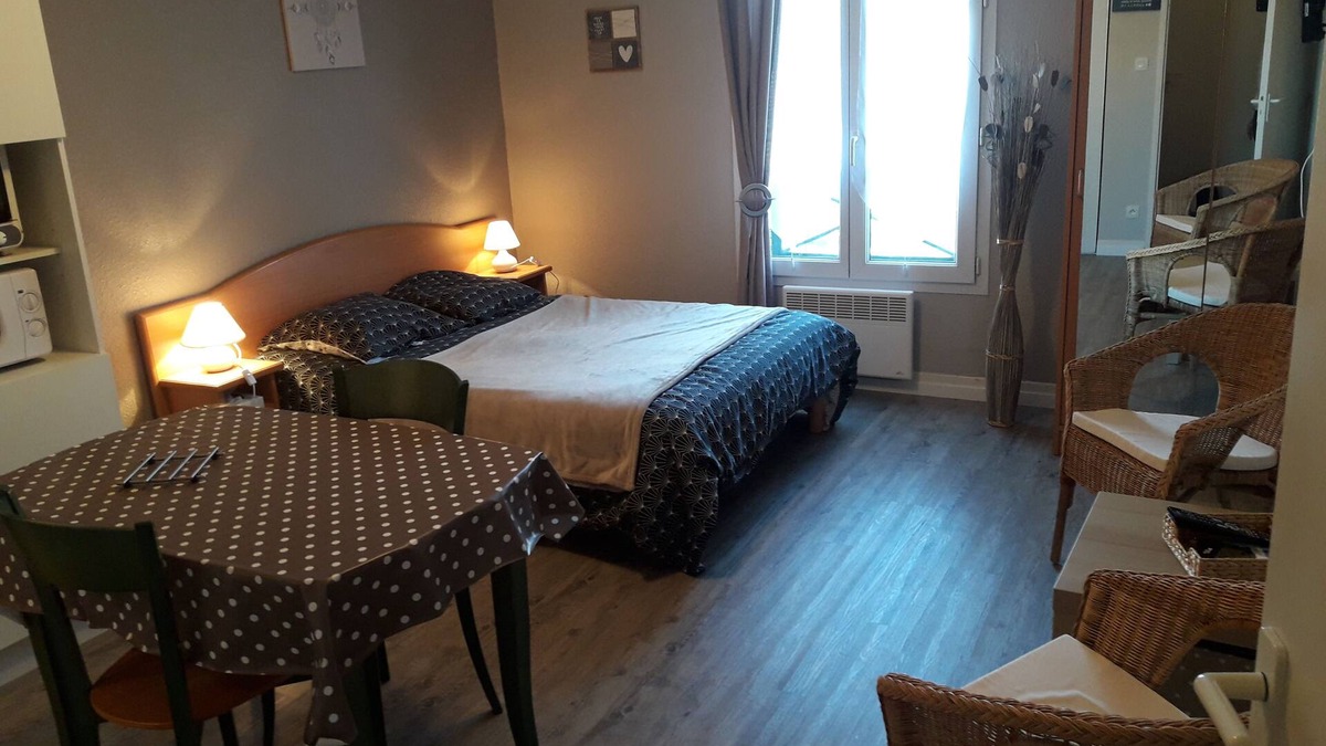 Bagneres-de-Bigorre Apartment | Nice stylish studio with free private parking