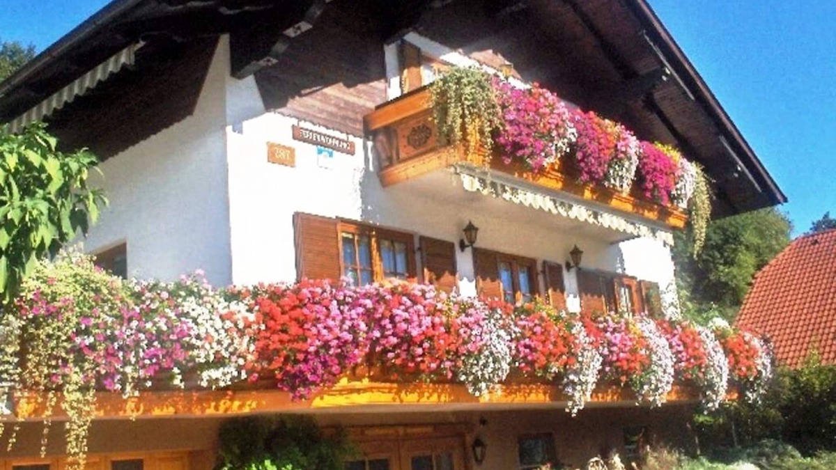 Tuernitz Apartment | Nice vacation apartment in the nature and hiking paradise of the Lower Austrian Prealps