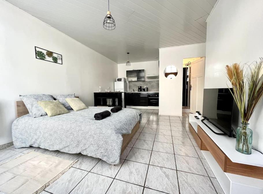 Villeneuve-sur-Yonne Apartment | Nid de Villeneuve - 2 pers.
