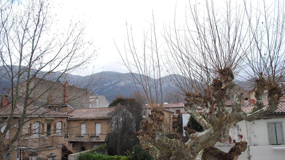 Quillan Bed & Breakfast | Nidelice