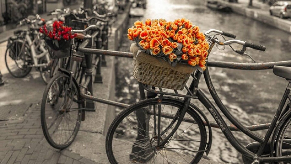 Gemert Apartment | NIEUWMARKT, DAM SQR, FLOWER MARKET-THE PLACE TO BE