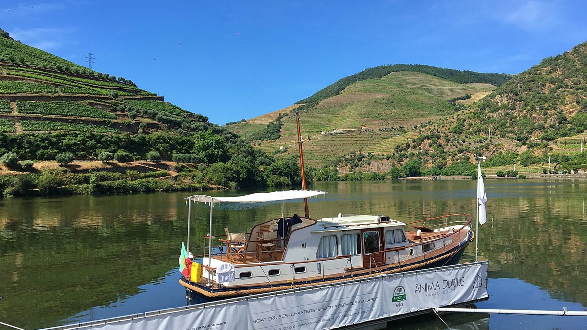 Pinhao Boat Rental | Night Experience on a Yacht in the Heart of the Douro Valley