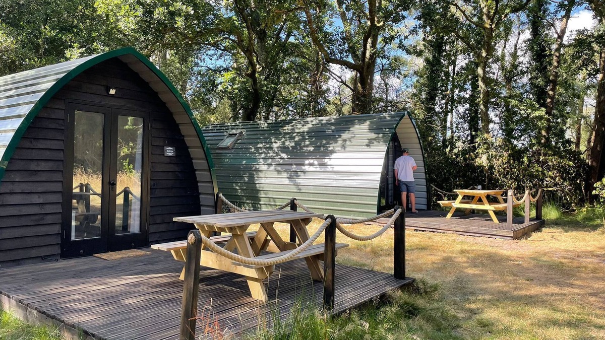 Holworth Cabin | Nightjar Cabin at Cloudshill Glade