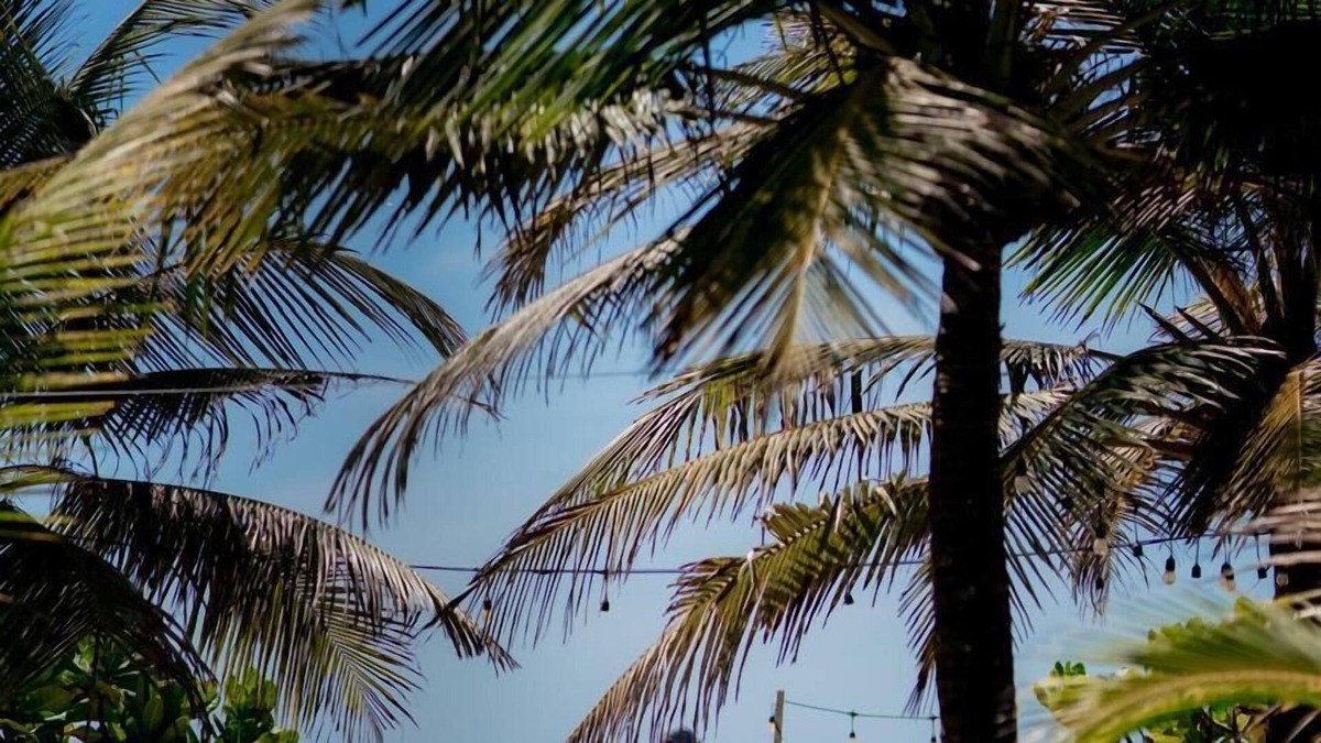 Pottuvil Bed & Breakfast | Nikara Beach Villas ArugamBay
