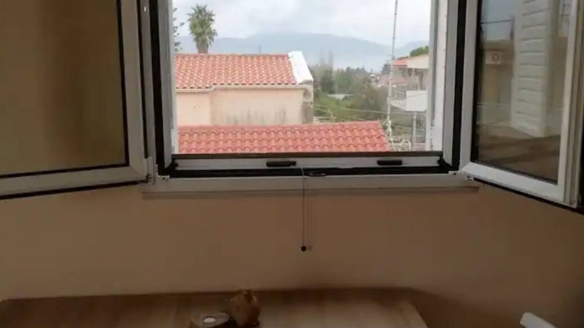 Rio Apartment | Nikolas apparent close to the sea