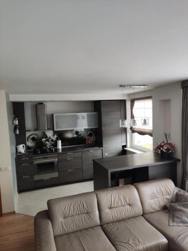 Panevezys Apartment | Nikoletos apartamentai