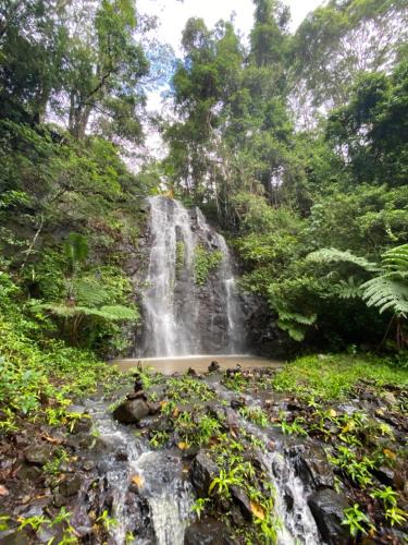 Nimbin House | Nimbin waterfall retreat