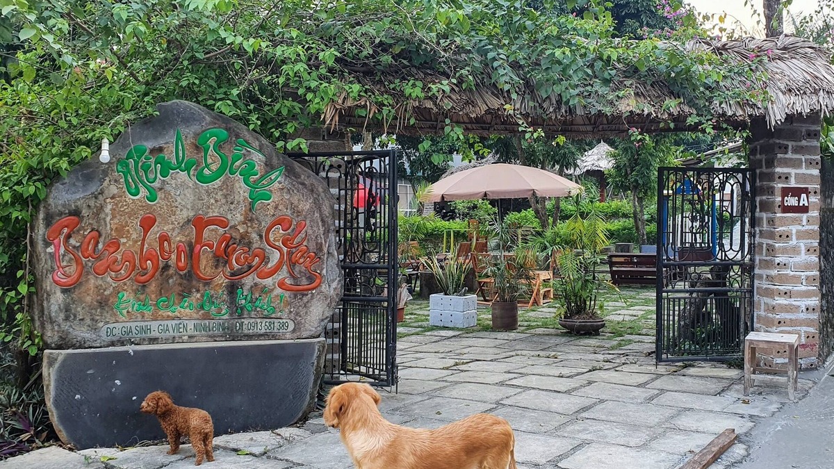Gia Vien Cottage | Ninh Binh bamboo