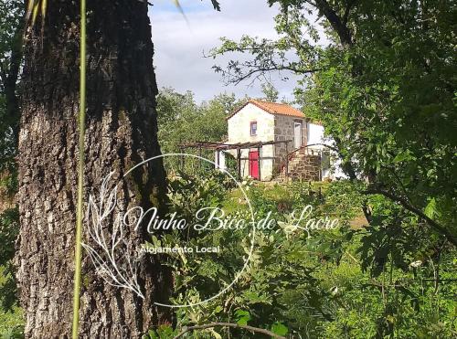Covas House | Ninho Bico-de-Lacre ~ o paraíso é a/na Terra