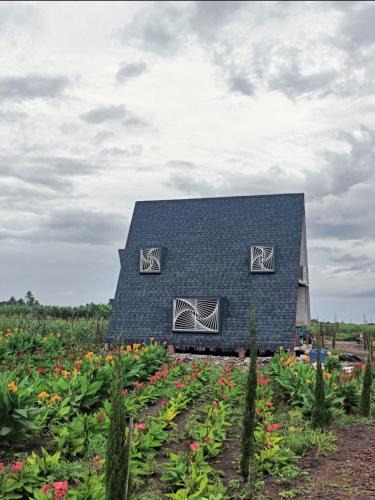 Shrirampur Villa | Nisarg farm villa