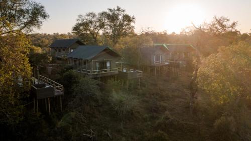 Kruger National Park Other | Nkuhlu Tented Camp