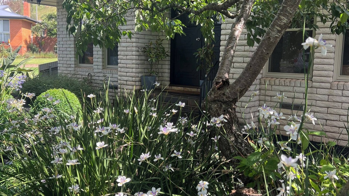 Camperdown House | nMOUNTVIEW residence is a gorgeous renovated house at the bottom of Mount Leura.