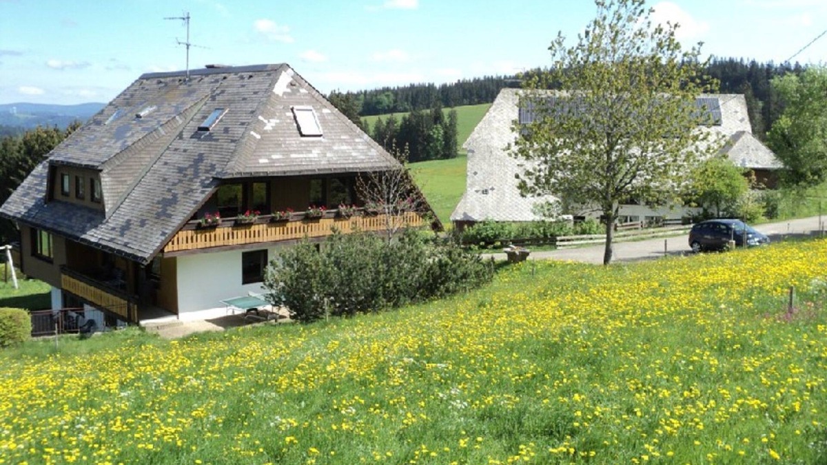 Sankt Maergen Apartment | No6 Kandelblick, 1 - 2 persons - Christenmartinshäusle