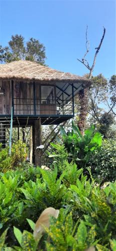 Pirmed House | Noah's Nest Tree House