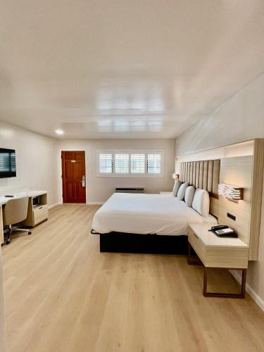 Polk Gulch Hotel | Nob Hill Motor Inn -Newly Updated Rooms!