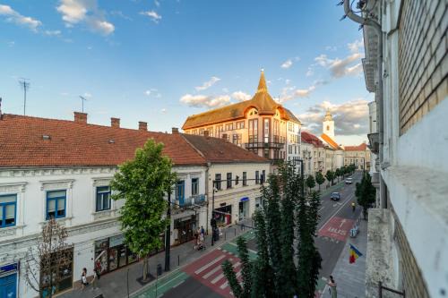 Cluj-Napoca City Centre Villa | Noble 5 star House in Unirii plaza