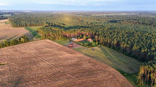 gmina Ryczywo House | Nocleg na skraju puszczy
