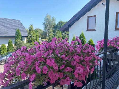 Ozarowice House | Noclegi AirportPark