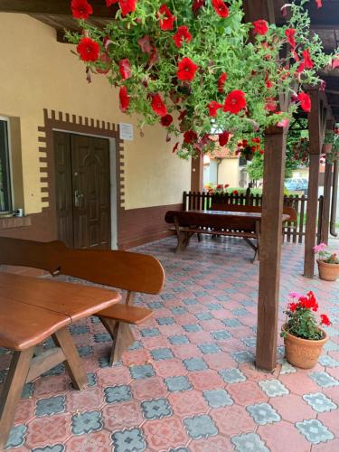 Orneta House | Noclegi Ciesiul