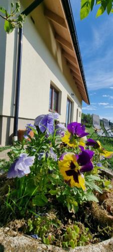 Wegierska Gorka House | Noclegi u Babci Gieni