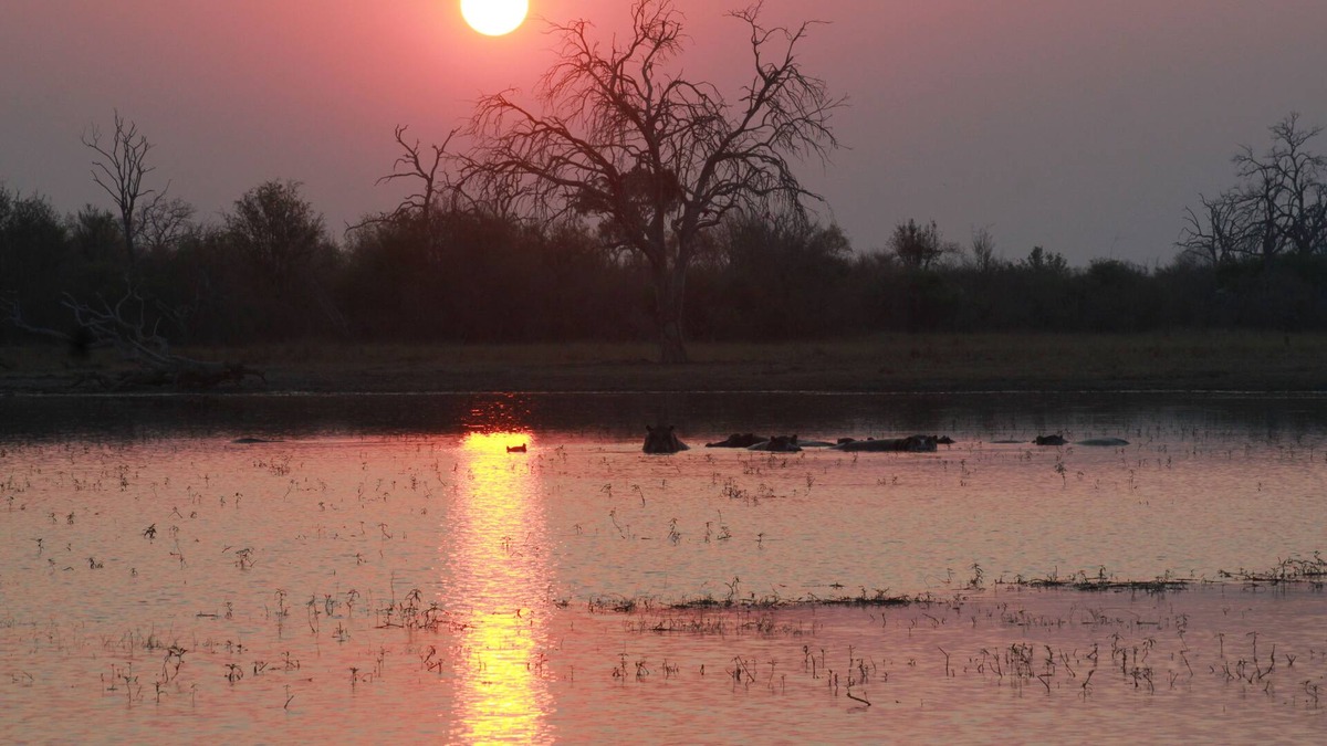 Chobe National Park Other | Nogatsaa Pans Lodge