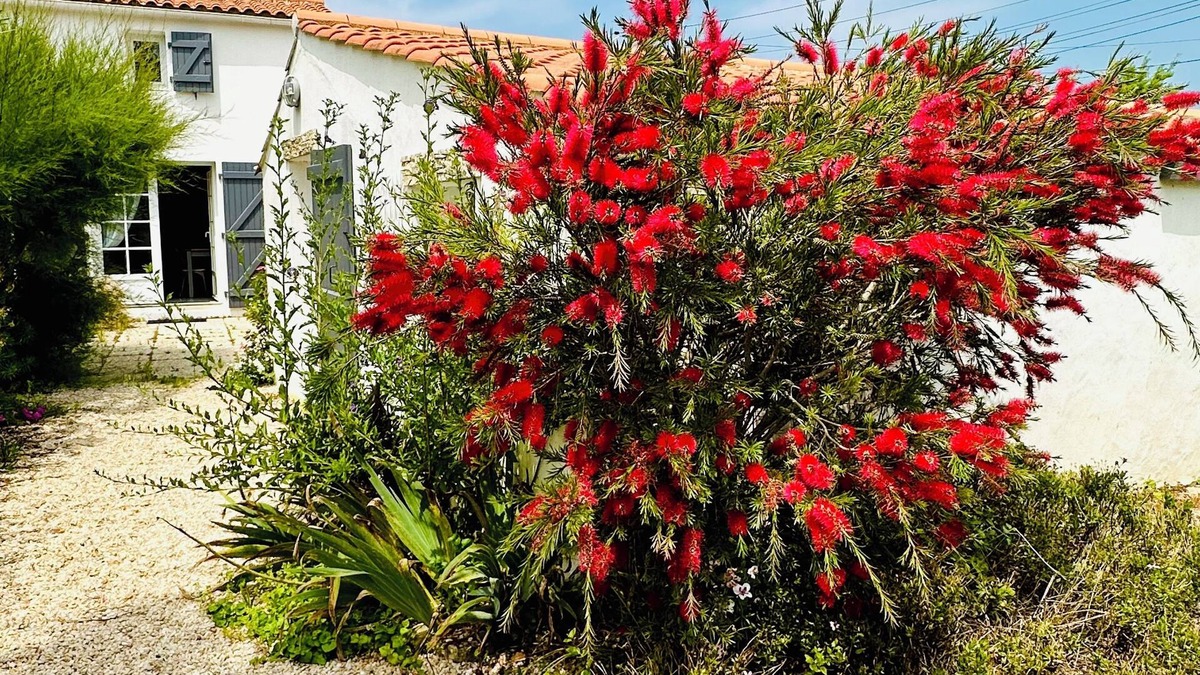 Barbatre House | Noirmoutier Island. 500m from the beach. Impasse. Calm. Garden not overlooked.