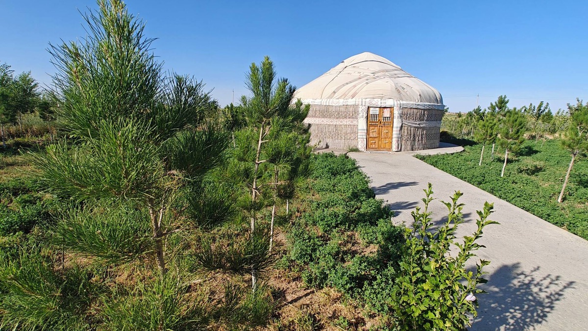 Uzbekistan Cabin | Nomad Island Bukhara