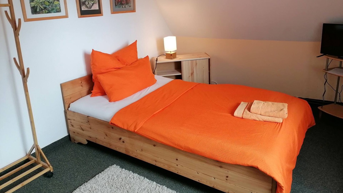 Blasewitz Apartment | Non smoking single room with garden view