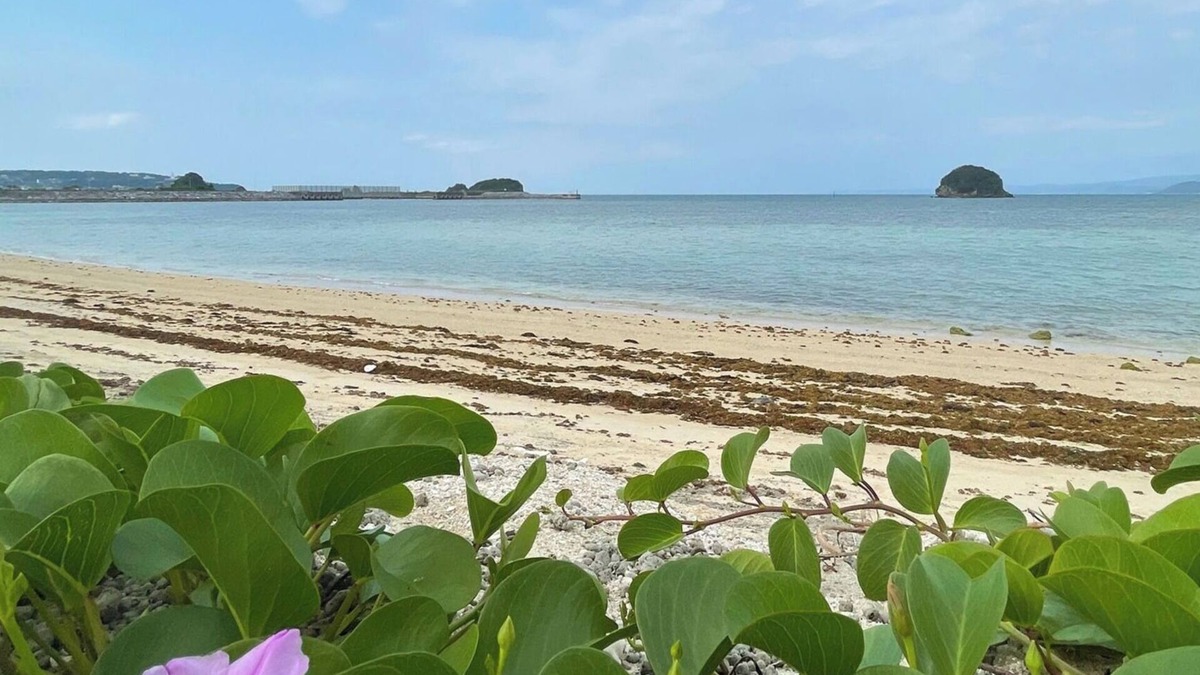 Sumuide House | Nonsmoking Multiple nights discountRoom only /Nago Okinawa
