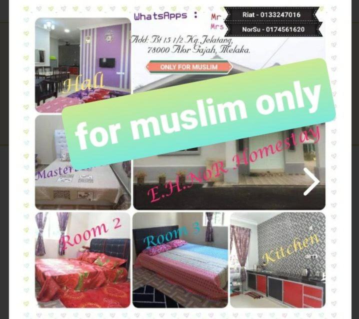 Kampung Jelatang House | Nor Su Homestay