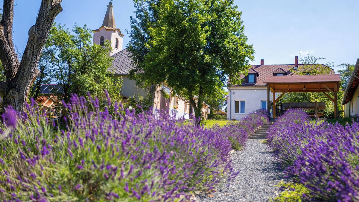 Nagygorbo House | Nora Guest House, Nagygörbő, Hungary