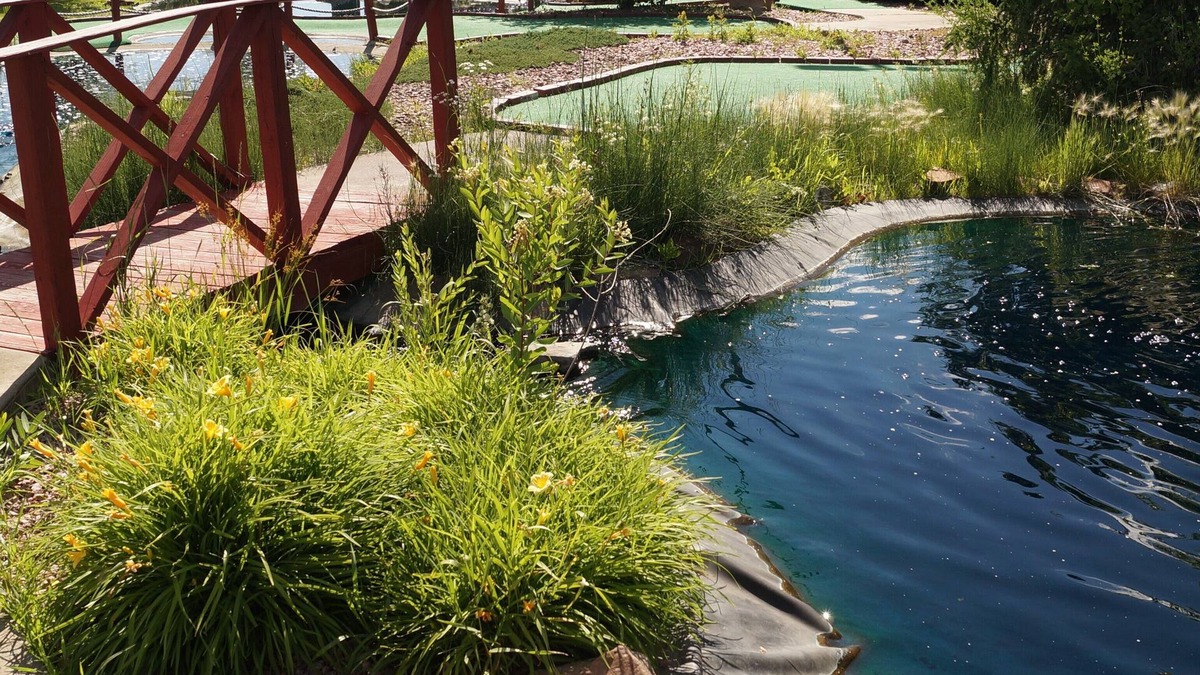 Norfolk Hotel | Norfolk Lodge & Suites, an Ascend Collection Hotel