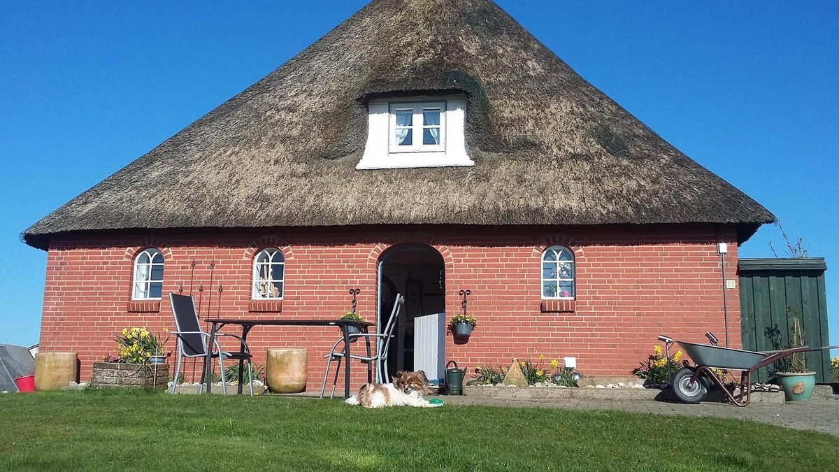 Ockholm Apartment | North Sea Near Apartment under thatch