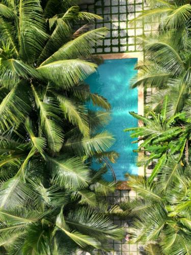 Mandrem Hotel | North39