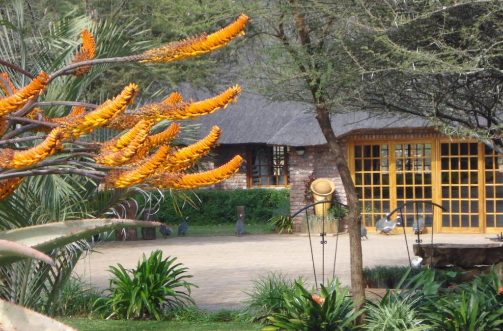 Makhado Cabin | Northgate Lodge