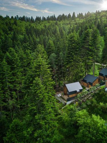 Sinaia House | Norway Cabins