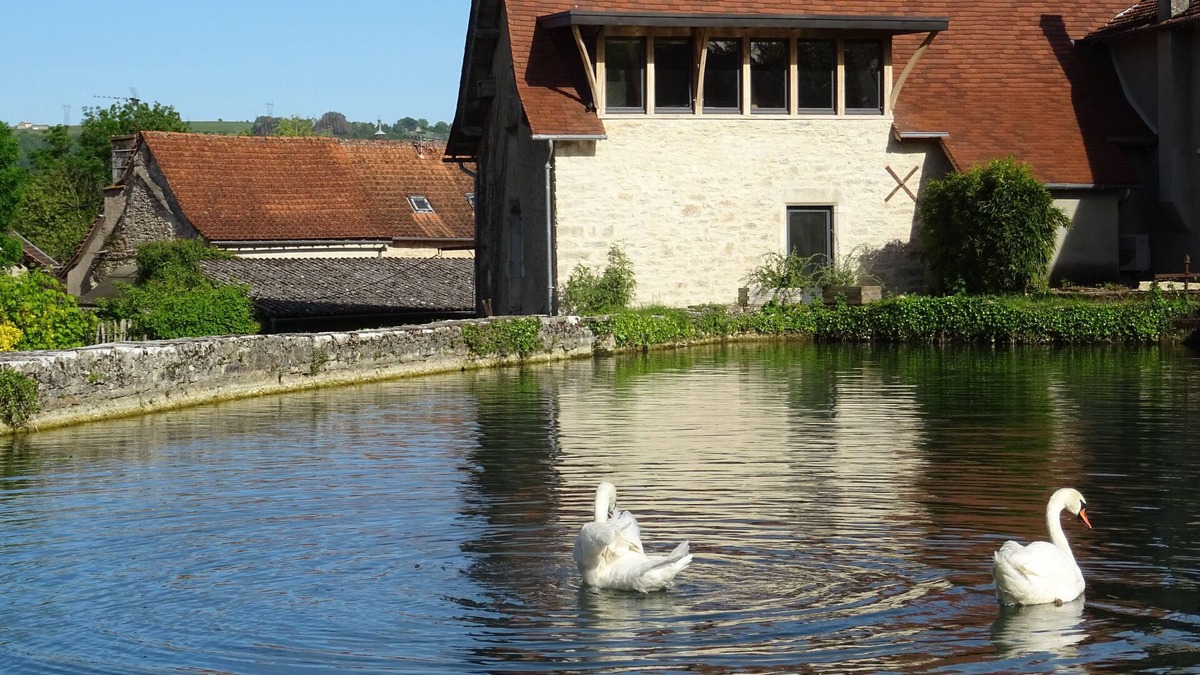 Salles-Courbaties House | Notre Moulin Vous Ouvre ses Portes Dans une Atmosphère Authentique
