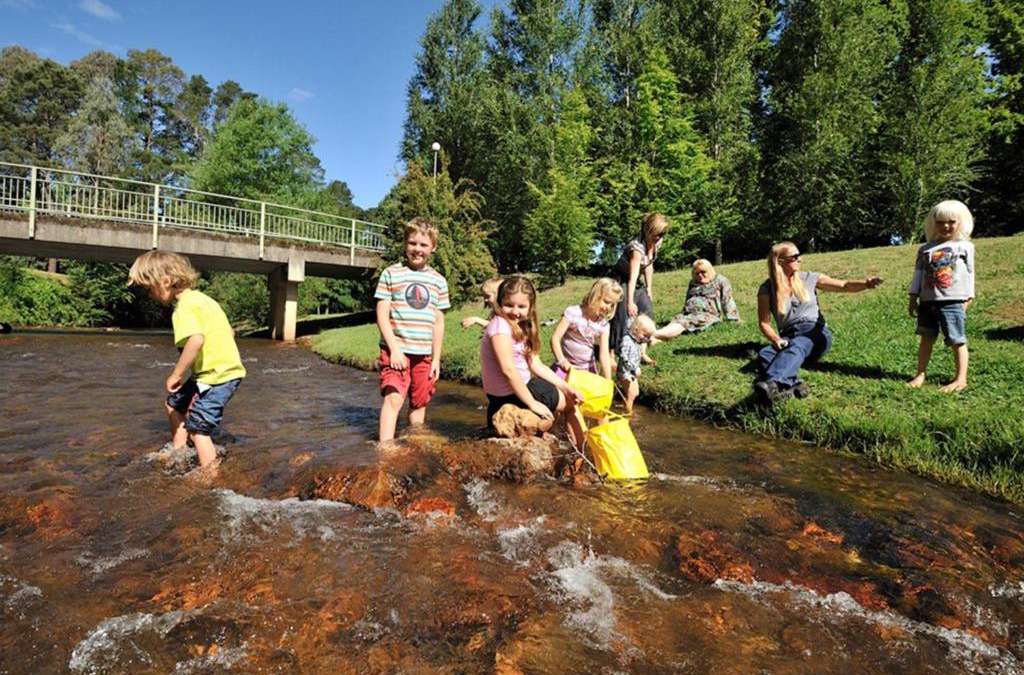Bright Resort | NRMA Bright Holiday Park