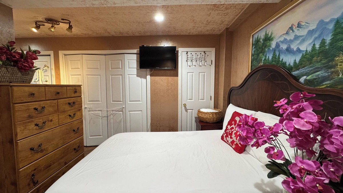 Queens Apartment | nSpacious Quaint Central Studio