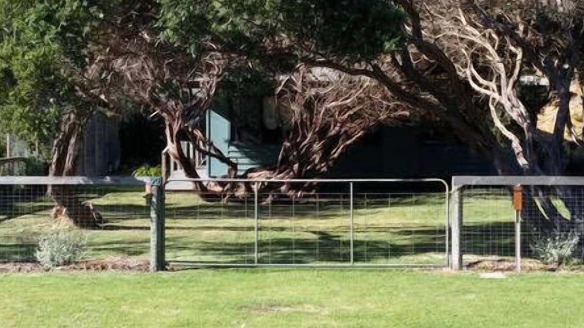 Sandy Point House | Ntaletiani Beach House