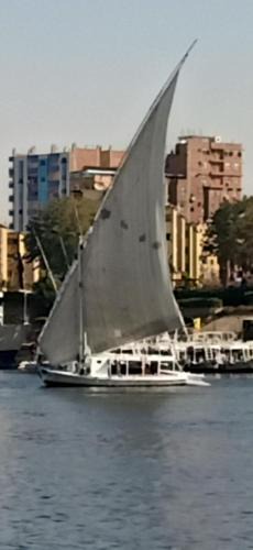Aswan Boat Rental | Nuba Tod Sailling boat